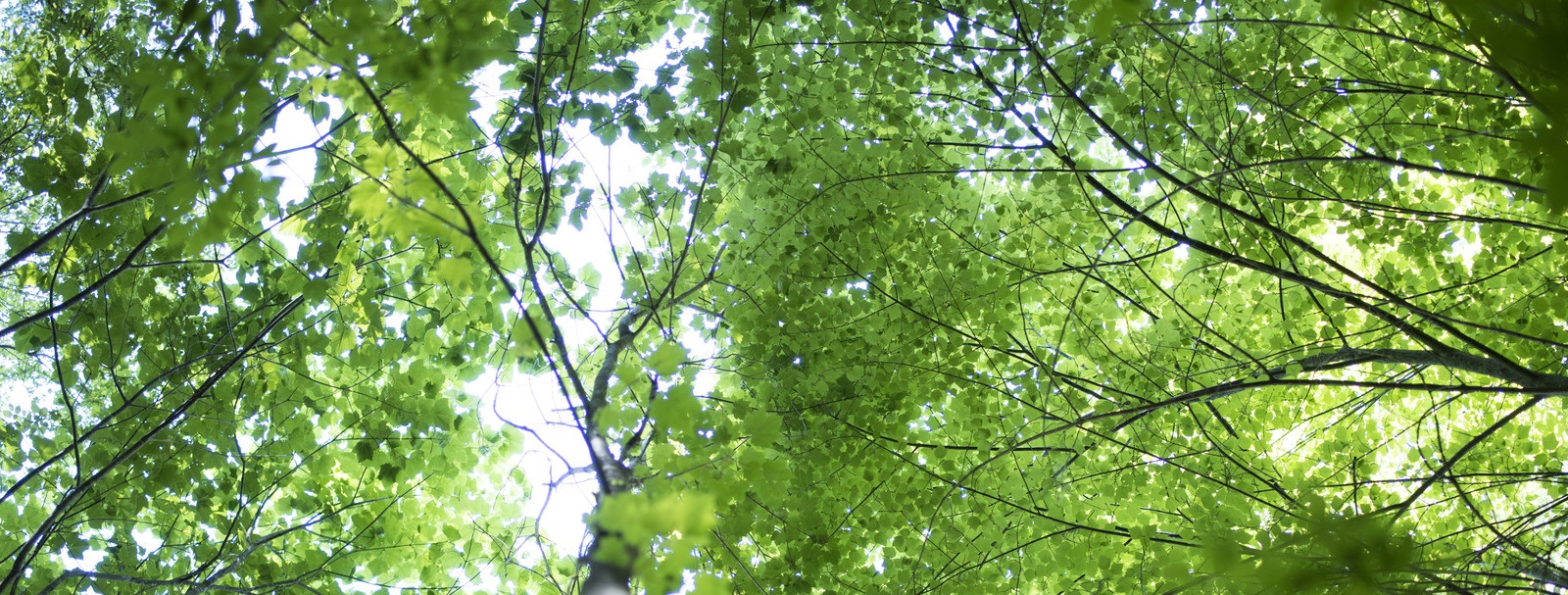 最新情報